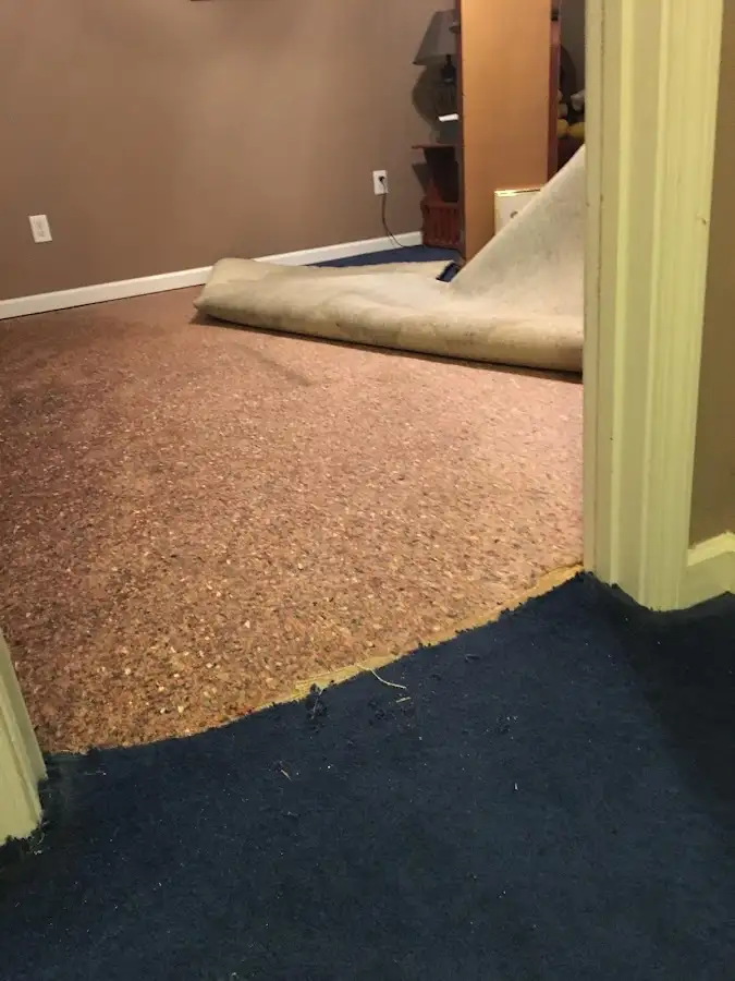 Carpet pad removal revealing water damage during Drying & Dehumidification in Livonia