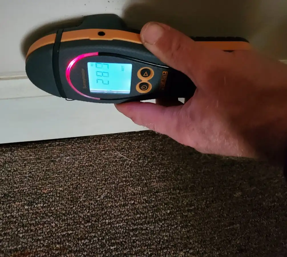 Moisture detection at baseboard during Sewage Cleanup & Sanitation in Livonia