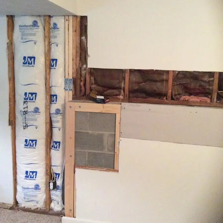 Wall insulation replacement during Odor Removal & Deodorization in Livonia